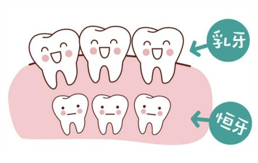 怎样预防儿童乳牙早失的问题？